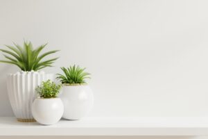 asset-27 (1) asset-27 (1)